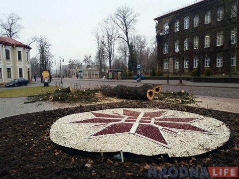 kasztan1