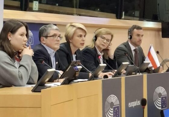 Pryncypialne stanowisko Gosiewskiej w PE ws. Białorusi: Nie spocznę! Opozycja podzielona co do sankcji wobec reżimu Łukaszenki