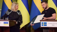 Podczas wizyty w Kijowie premier Szwecji przekazała kopię listu króla szwedzkiego uznającego niepodległość Siczy Zaporoskiej