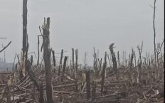 Aż 910 okupantów zniszczonych w ciągu doby