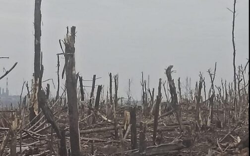 Aż 910 okupantów zniszczonych w ciągu doby
