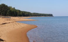 Putin podpisał prawo ułatwiające wycinkę lasów i budowę infrastruktury nad brzegami Bajkału