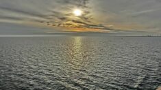 Rosjanie wznowili budowę Nord Stream 2