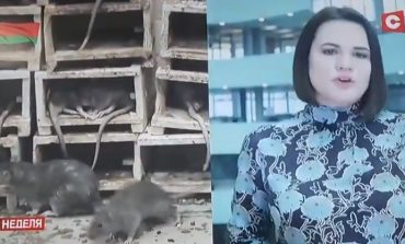 Jak w propagandzie nazistowskiej. Białoruska telewizja reżimowa zestawia opozycjonistów ze szczurami (WIDEO)