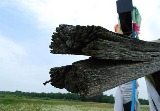 Janusz Horoszkiewicz: Epidemie pustoszące Wołyń