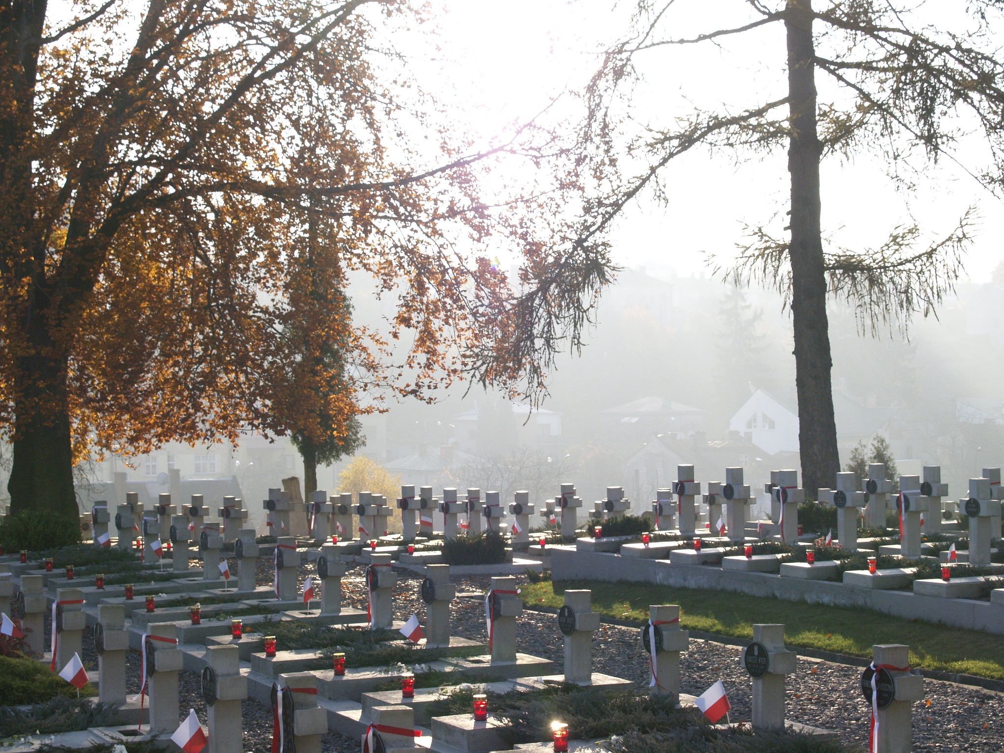 Zadbaliśmy o swoich! Od Cmentarza Orląt Lwowskich po Puźniki