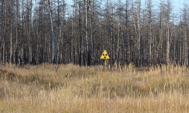 Ukraińskie władze potwierdzają: Rosyjscy żołnierze okopywali się w radioaktywnym "Czerwonym Lesie" w strefie czarnobylskiej (WIDEO)