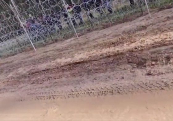 Służby Łukaszenki strzelają i maltretują migrantów (WIDEO)