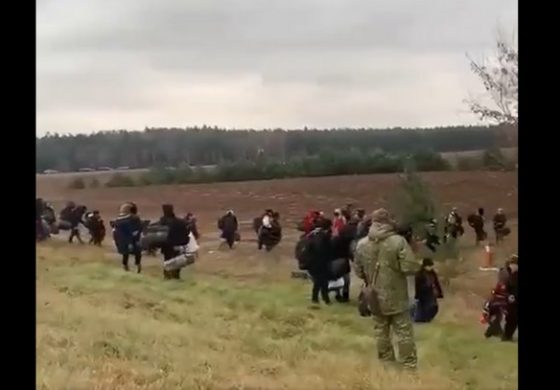 "Zielone ludziki" kierują tłum migrantów na granicy do lasu. Co dalej? (WIDEO)