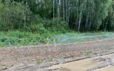 Straż Graniczna i wojsko zatrzymały 12 obywateli Polski i 1 obywatela Holandii podejrzanych o niszczenie zapór na granicy z Białorusią