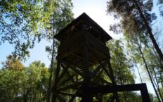 W 100. rocznicę zwycięstwa nad bolszewikami prezydent podpisał ustawę o pomocy dla zesłańców z lat 1936-1956
