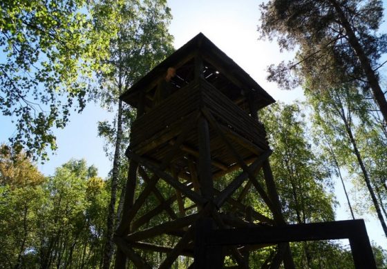 W 100. rocznicę zwycięstwa nad bolszewikami prezydent podpisał ustawę o pomocy dla zesłańców z lat 1936-1956