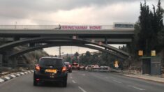 Nieoficjalnie: Obywatelka Izraela uwięziona przez Rosję jednak poprosiła Putina o ułaskawienie
