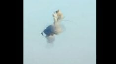 Tak zestrzelony został rosyjski helikopter Ka-52 (WIDEO)