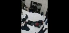 Demonstracje opozycji w całej Rosji, brutalność służb. Zatrzymali nawet nieletnich i .. psa. W Moskwie mężczyzna dokonał aktu samospalenia (WIDEO) Demonstracje opozycji w całej Rosji, brutalność służb. Zatrzymali nawet nieletnich i .. psa. W Moskwie mężczyzna dokonał aktu samospalenia (WIDEO)