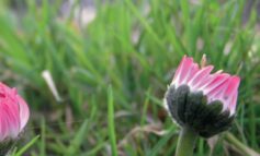 Krynica nr 107-108/2020