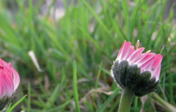 Krynica nr 107-108/2020