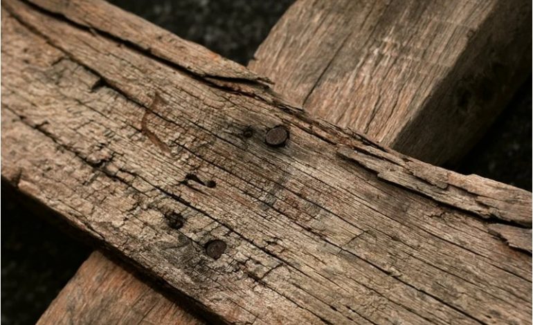 Droga Krzyżowa w Buczy i Irpieniu (ZDJĘCIA)