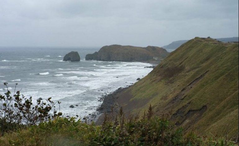 Japonia oświadczyła, że Kuryle są okupowane przez Rosję