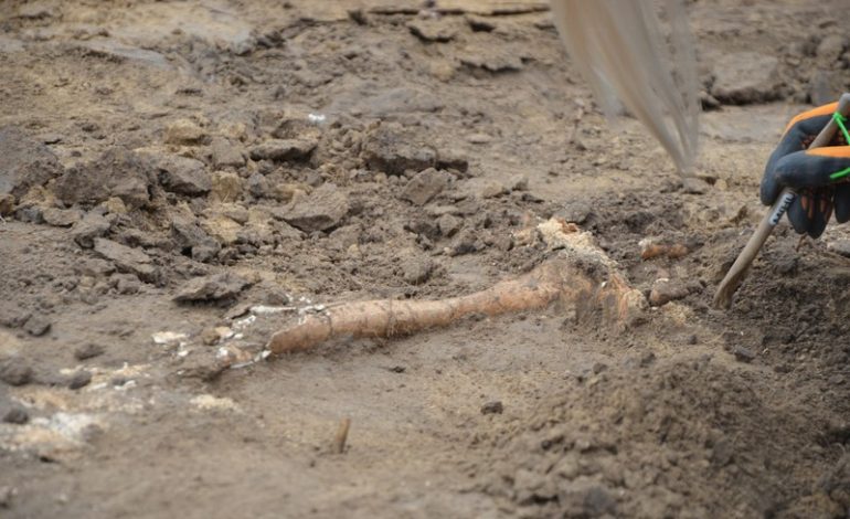 IPN: Poszukiwania polskich ofiar UPA w powiecie hrubieszowskim zakończone odnalezieniem szczątków