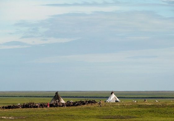 W Nienieckim Okręgu Autonomicznym zagłosowali przeciwko putinowskim poprawkom do konstytucji