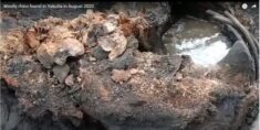 Na Syberii znaleziono dobrze zachowanego nosorożca włochatego sprzed kilkudziesięciu tysięcy lat (WIDEO)