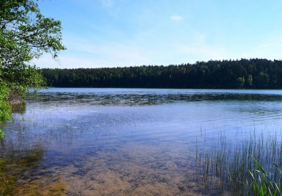 W jeziorze 50 km od Wilna znaleziono szczątki średniowiecznego rycerza lub wojownika