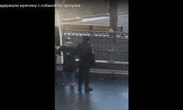 Rosyjska policja zatrzymała Jezusa z psem za złamanie kwarantanny (WIDEO)