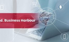 "Poland. Business Harbour" – запущена программа польского правительства для предприимчивых белорусов из сектора IT. Полезные информации