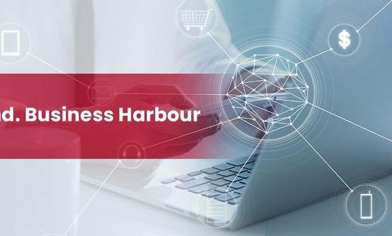 "Poland. Business Harbour" – запущена программа польского правительства для предприимчивых белорусов из сектора IT. Полезные информации