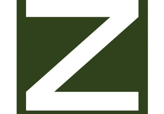 Brunatna parada "Z" w Jekaterynburgu (WIDEO)