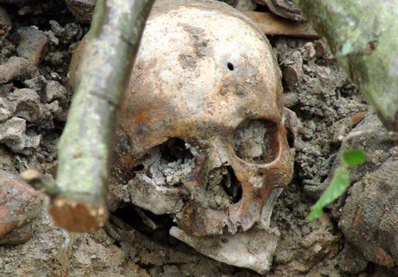 Szef rosyjskiej agencji kosmicznej: Karadżić i Mladić to moi przyjaciele i bohaterowie