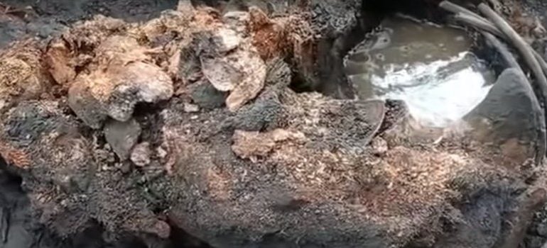 Rosja rozpoczyna badania prehistorycznych wirusów