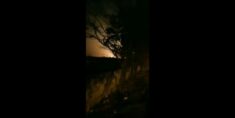 Ukraiński samolot rozbił się w Iranie (WIDEO)