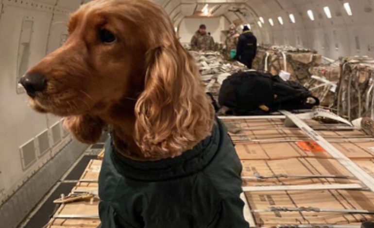 Kolejny transport śmiercionośnej broni z USA wylądował na lotnisku w Kijowie (ZDJĘCIA)