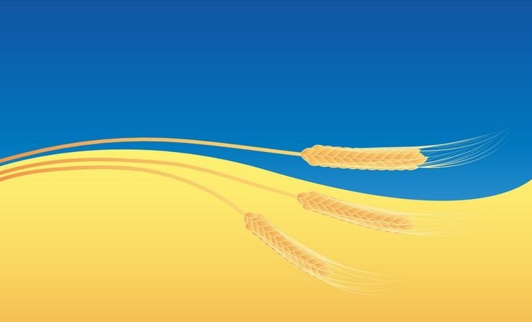 Polska wesprze finansowo eksport zboża z Ukrainy do Afryki i Azji