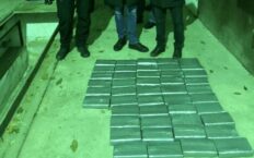 W porcie pod Odessą odkryto ponad 50 kg kokainy z Ekwadoru (WIDEO)