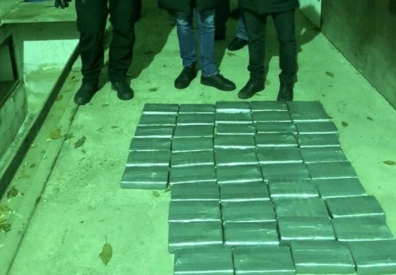 W porcie pod Odessą odkryto ponad 50 kg kokainy z Ekwadoru (WIDEO)