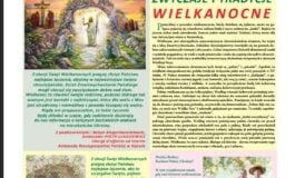 Dziennik Kijowski 7/2025