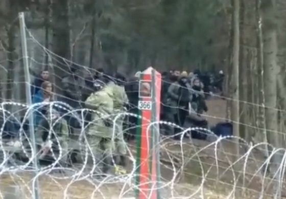 Duża grupa migrantów przygotowywana przez służby Łukaszenki do nielegalnego przekroczenia granicy Polski (WIDEO)