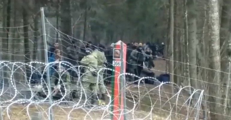 Duża grupa migrantów przygotowywana przez służby Łukaszenki do nielegalnego przekroczenia granicy Polski (WIDEO)