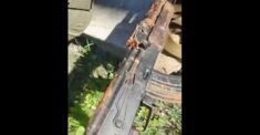 Zmobilizowani Rosjanie dostają zgniłe kałasznikowy (WIDEO)