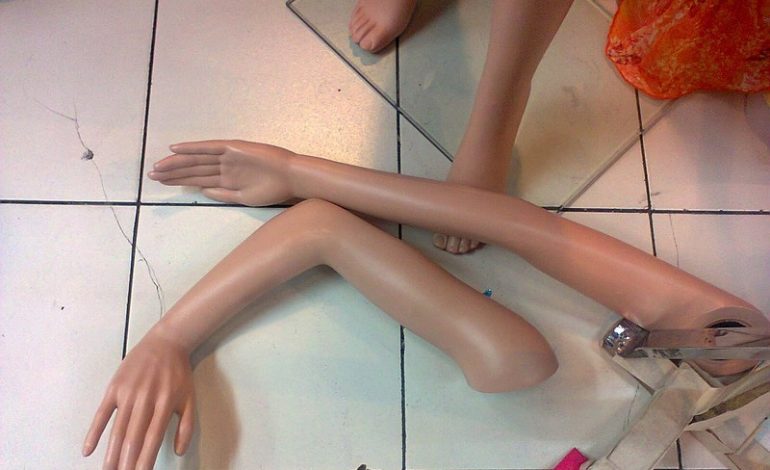 Sukces rosyjskiej kryminalistyki. W Petersburgu będą uczyć psy odnajdywania fragmentów ludzkich ciał – “świeżych” i w stanie rozkładu