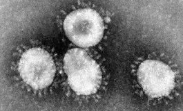 Pierwszy przypadek koronawirusa w Rumunii