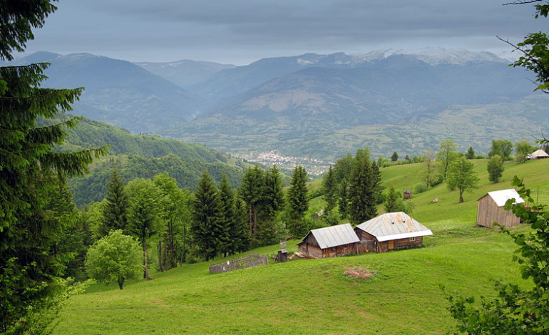 Rumunia: Zarzuty dla 14 osób w skandalicznej sprawie handlu ludźmi. Wśród oskarżonych niemieckie małżeństwo