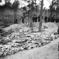 Masowy grób – ekshumacja 1943