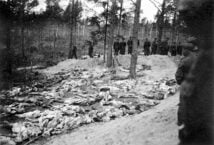 Masowy grób – ekshumacja 1943