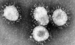 Litwa rozpoczyna badania profilaktyczne na koronawirusa