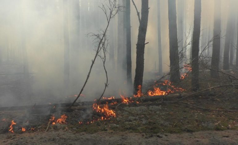 Pożary lasu coraz bliżej elektrowni jądrowej w Czarnobylu