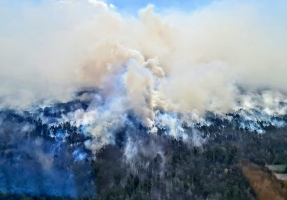 Minister Spraw Wewnętrznych Ukrainy liczy, że pożary na Żytomierszczyźnie zostaną ugaszone w najbliższych dniach